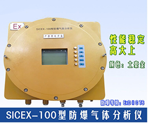 SICEX-100防爆型在線氣體分析儀（H2、CO、O2）
