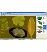 LA-S型植物葉面積、病斑、蟲損、葉色分檔分析儀系統